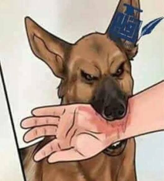 صورة توضيحية تبرز أهمية غسل عضة الكلب بالماء والصابون كخطوة أولى للنجاة من السعار.